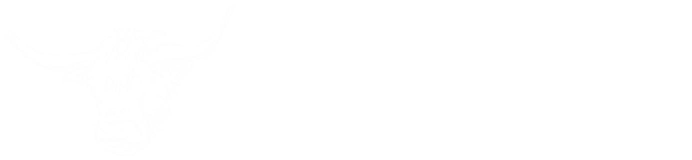 Dingwall Logo