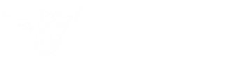 Dingwall White Logo