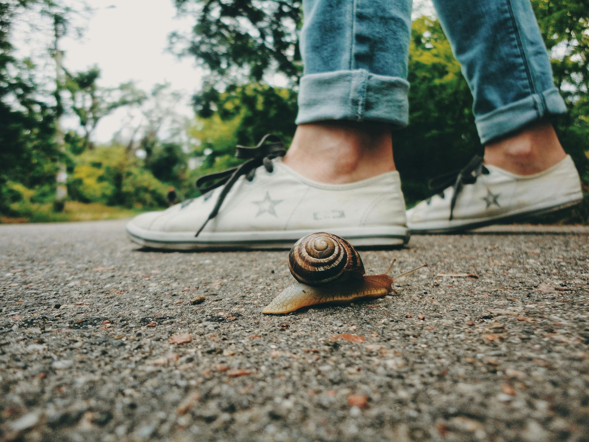 Snail moving at its own pace, symbolizing the stagnant job market.