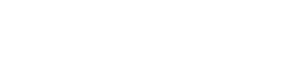 First Millennium Insurance Group