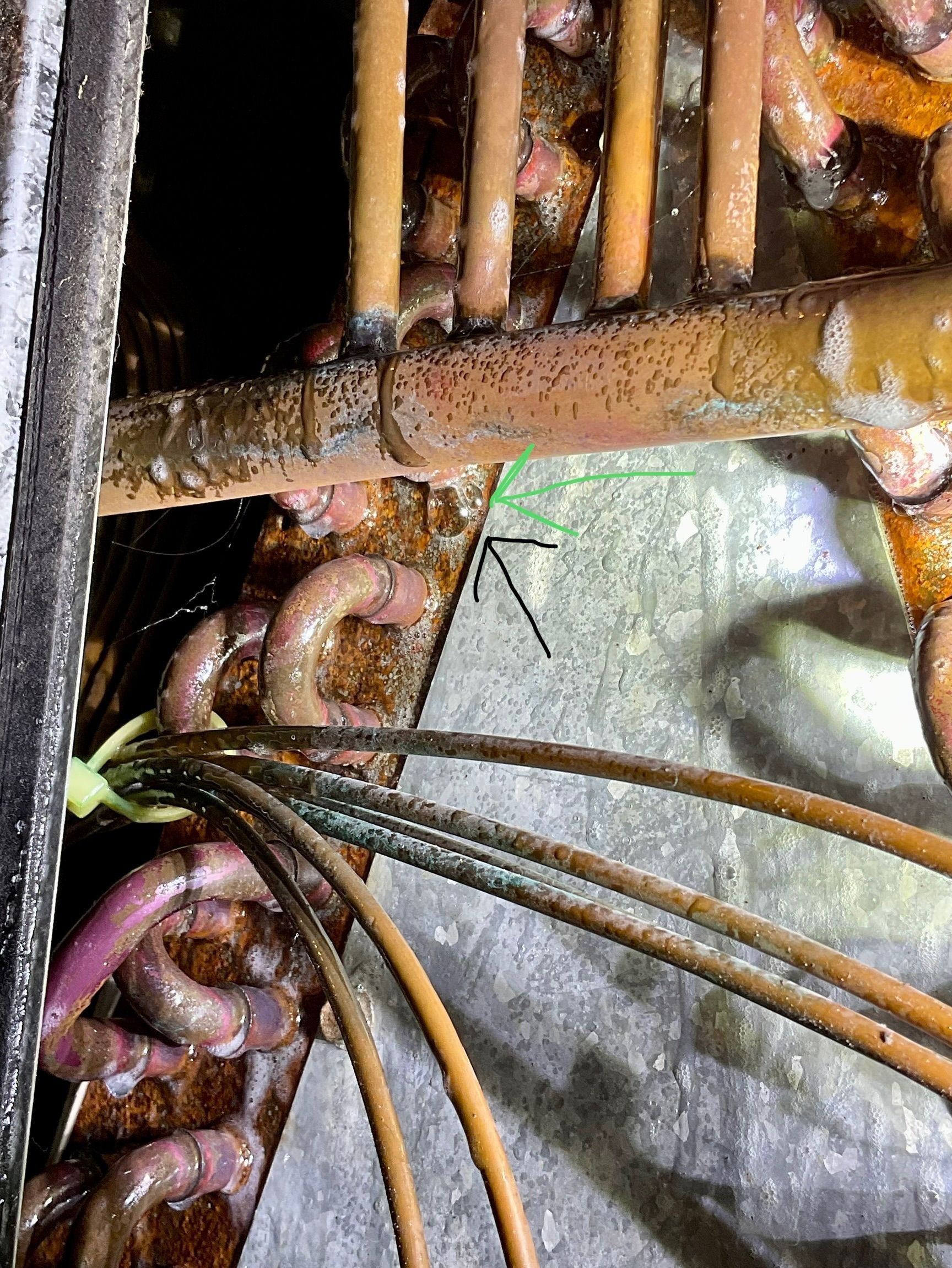 A bunch of worms are crawling out of a hole in a cage.