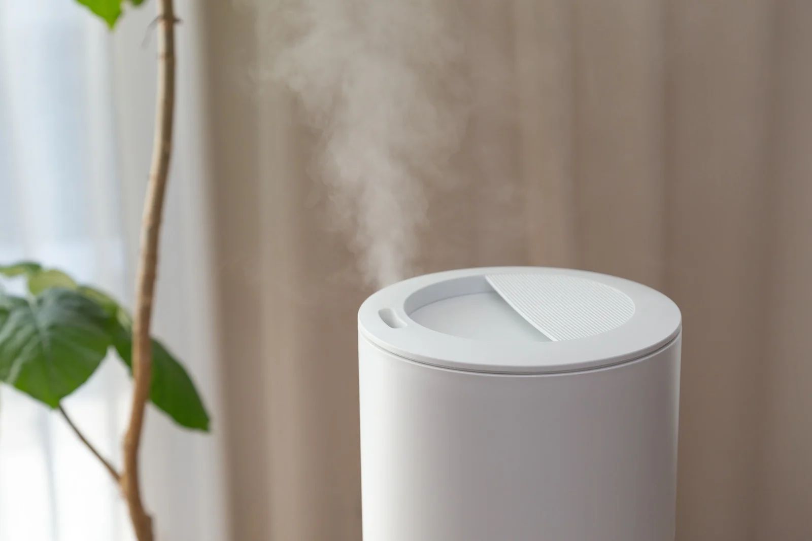 White humidifier emitting mist next to a plant indoors.