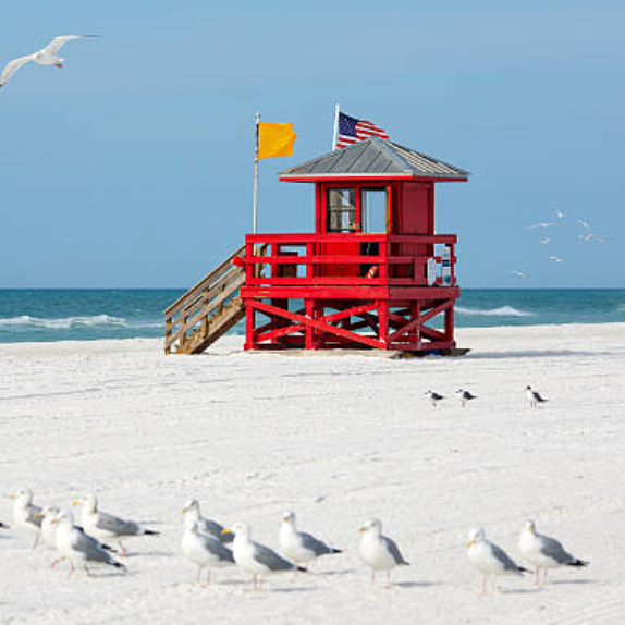 A red lifeguard tower on a beach with seagulls