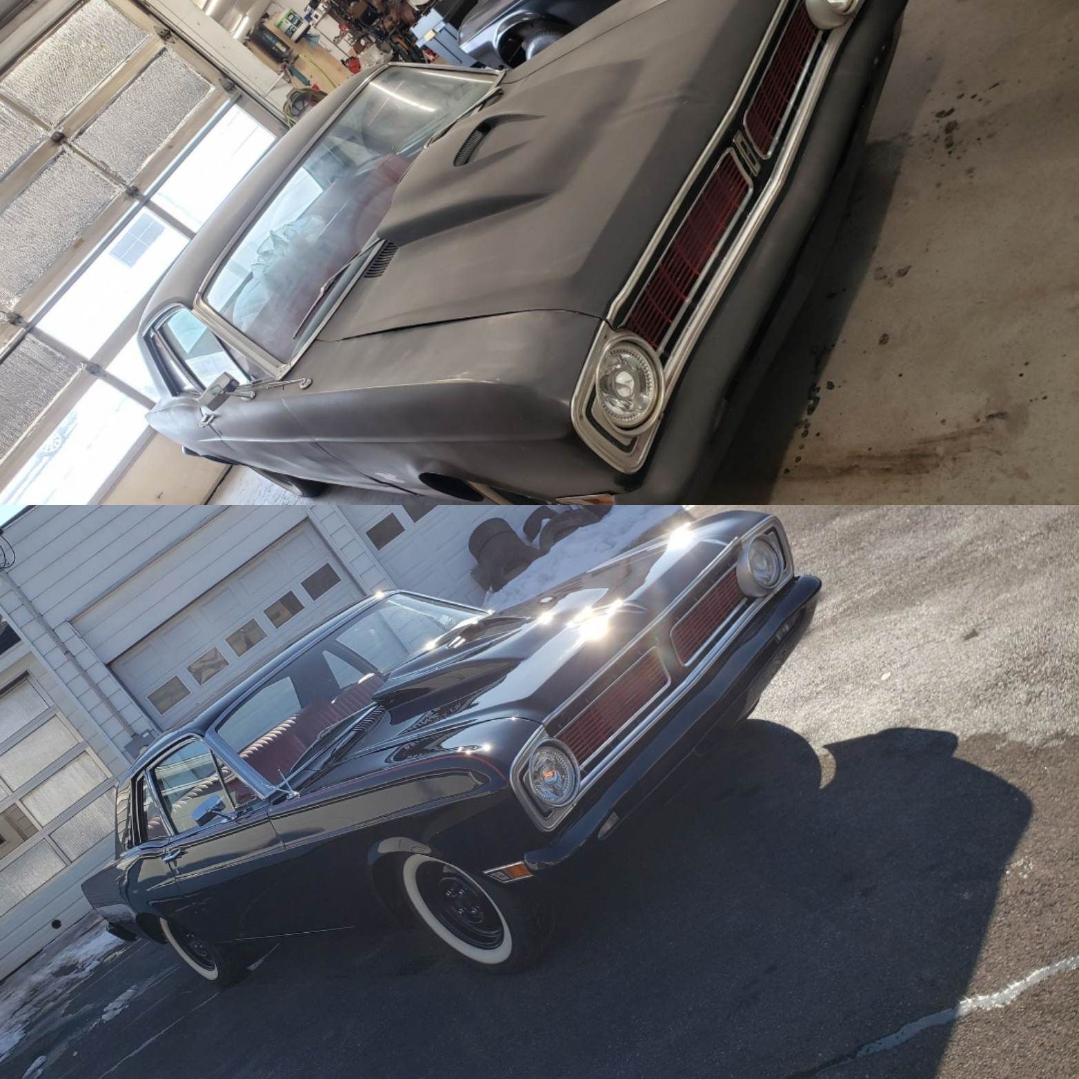 Falcon before and after