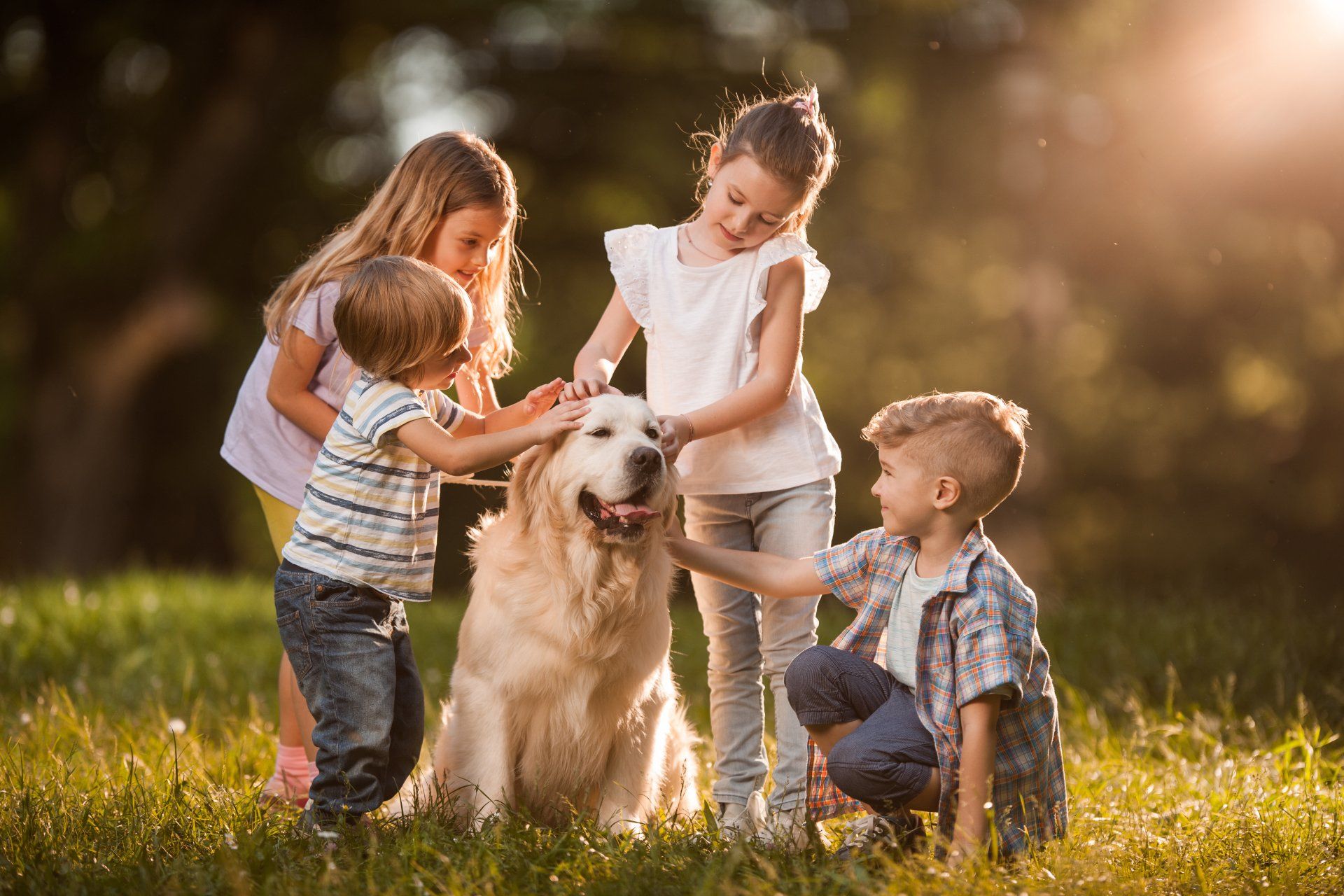 A group of children are petting a dog in a park.