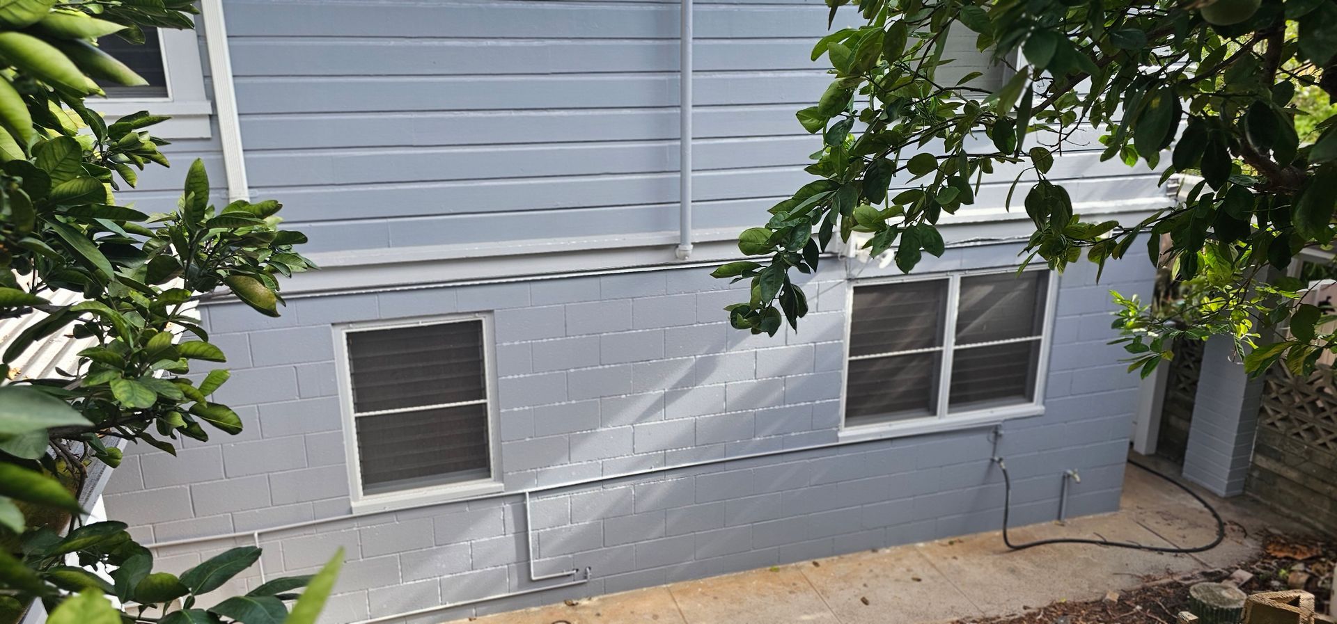 A house with a lot of windows is surrounded by trees.