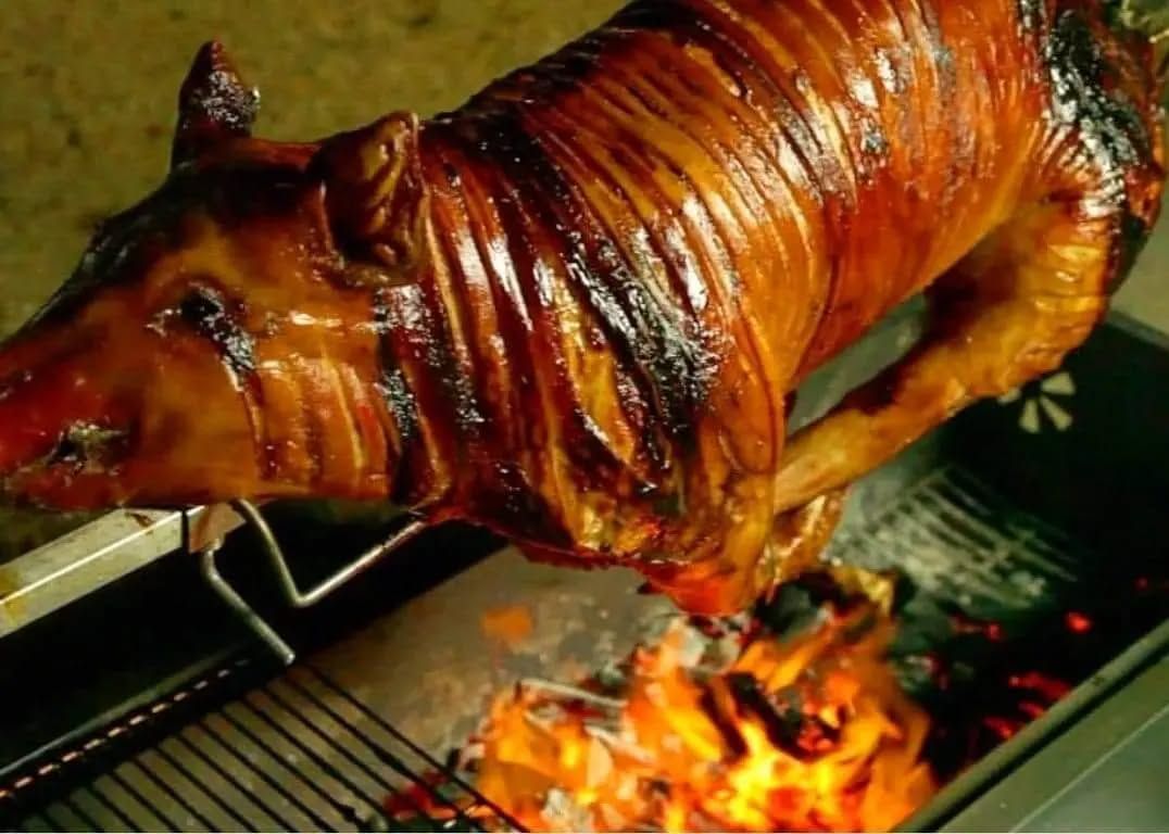 A Pig is Roasting on a Spit Over a Fire — Multy Cut Meats In Yorkeys Knob, QLD