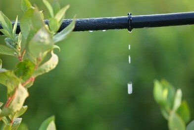 Irrigation System — irrigation Elk Grove Village, IL