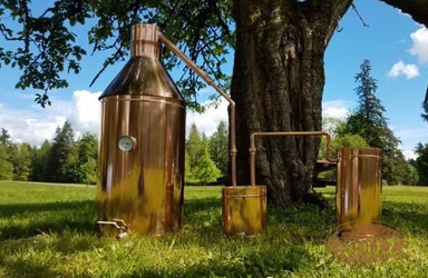 A man and a woman are sitting on a couch holding hands while a woman writes on a clipboard.