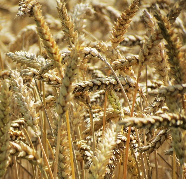 A woman is hugging another woman in a group of people sitting in chairs.