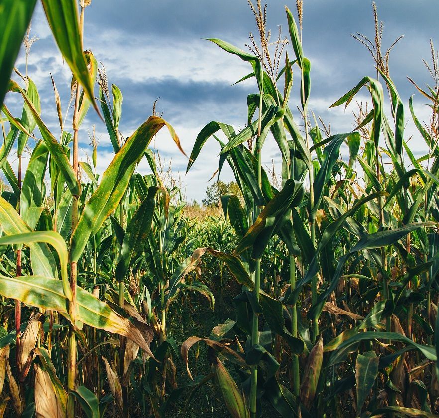 A group of people are sitting in a circle in a room.