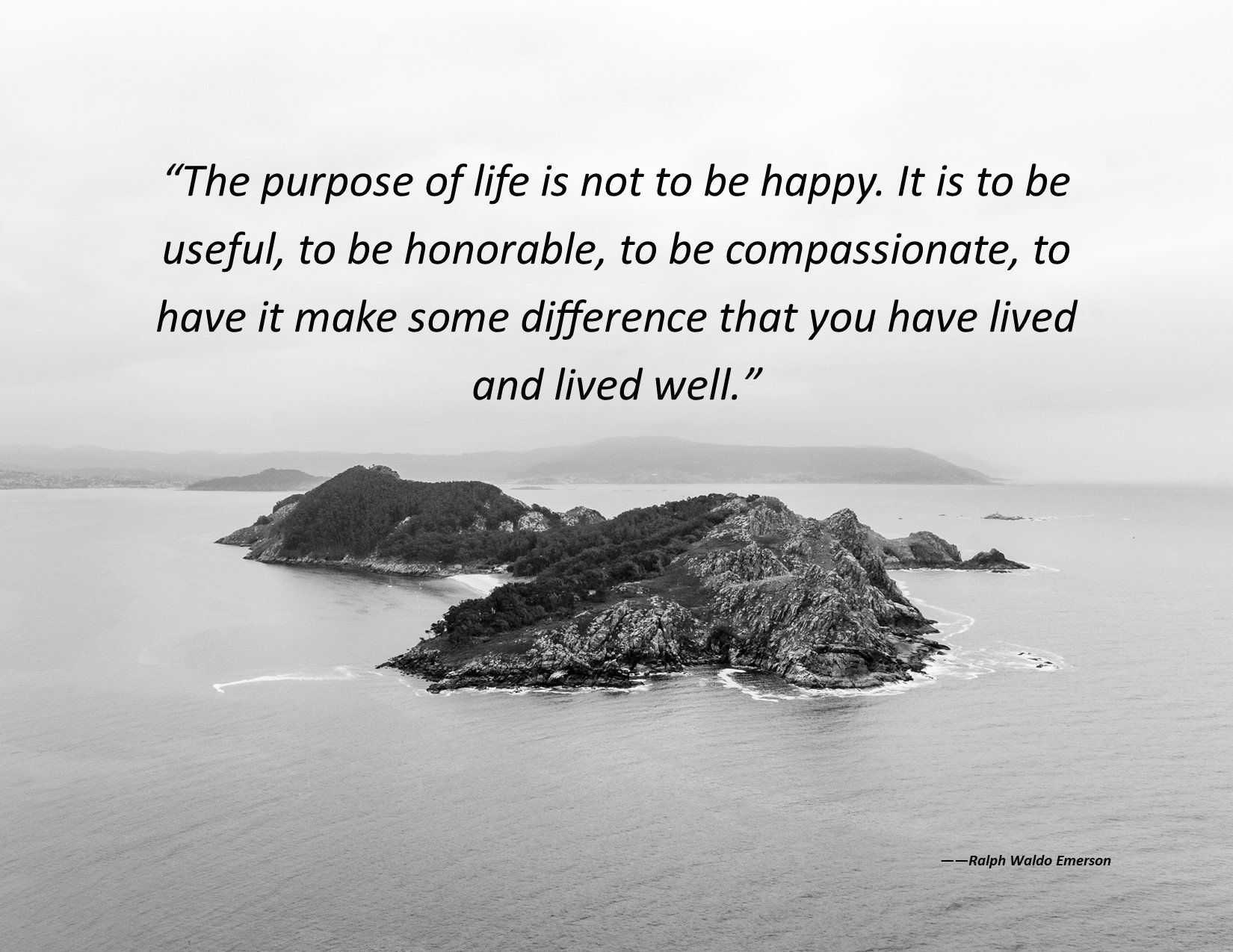 The Purpose Of Life 