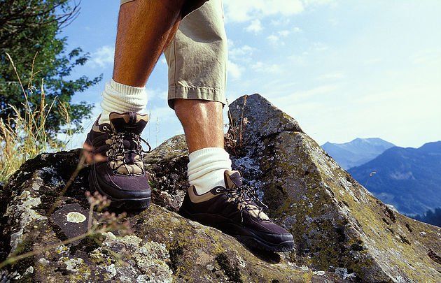 How well are you aging? There are many factors that impact aging. Read on to learn more ...