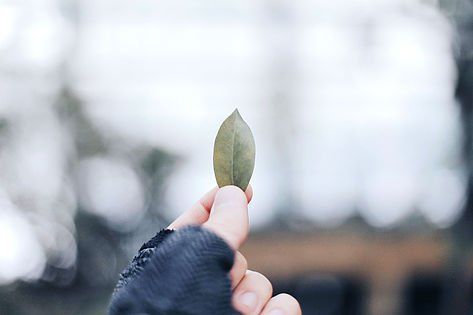 Homeopathy is NOT new. This concept has been known since Hippocrates in 450 BCE, and was later undertaken by a German allopathic physician, Dr. Samuel Hahnemann in the 18th century, who officially coined the term and spread the practice.