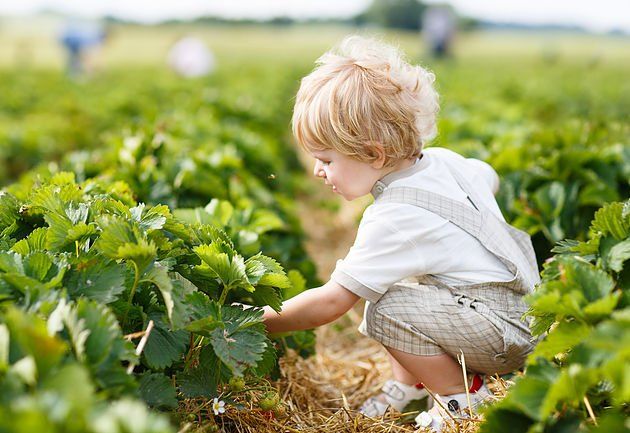 Are better options for allergy relief available? YES! And the answer is Nutrition Response Testing™!