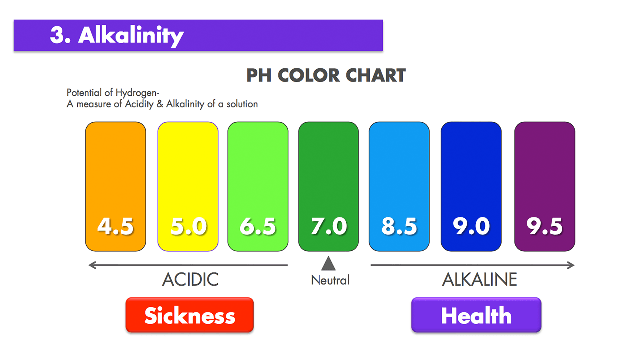 pH scale examples comparing pure water to other things
