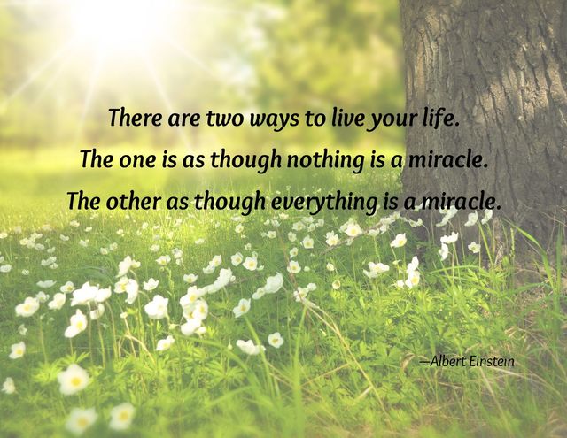 Life is a miracle every.single.day.