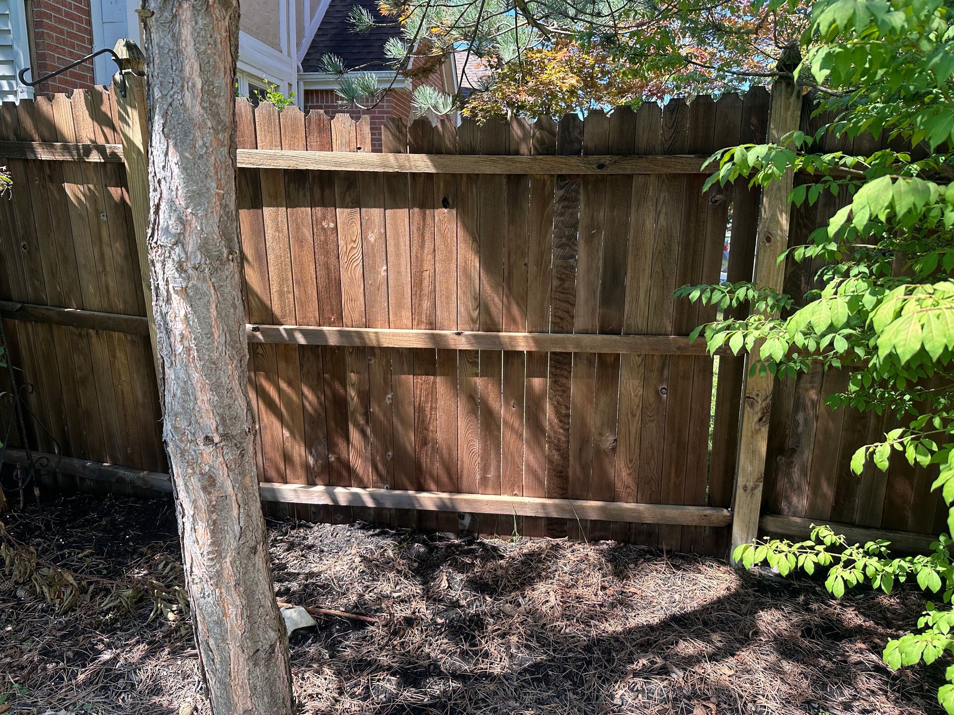 A wooden fence is surrounded by trees in a backyard.