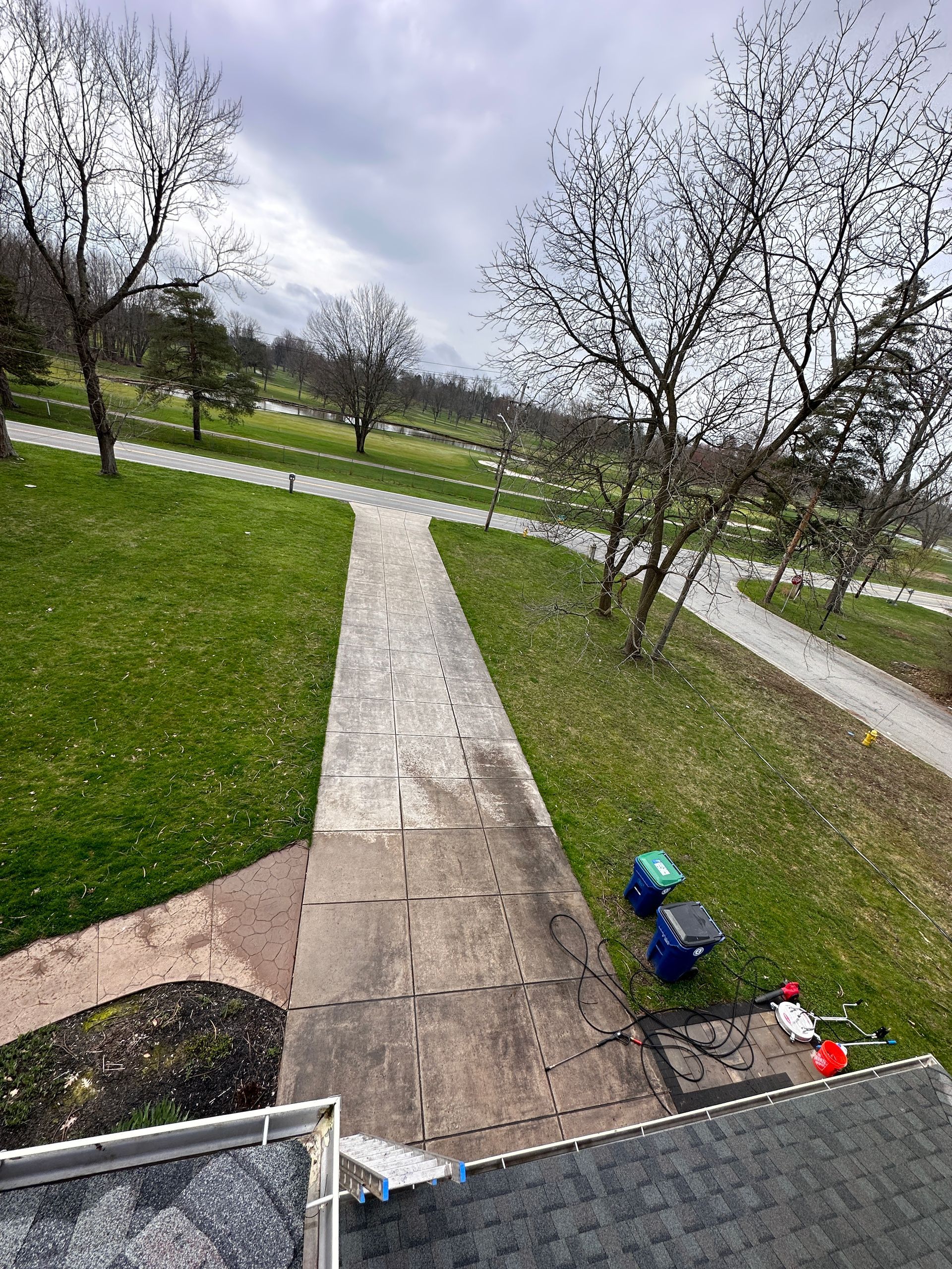 A view of a park from a balcony with a path and trees.