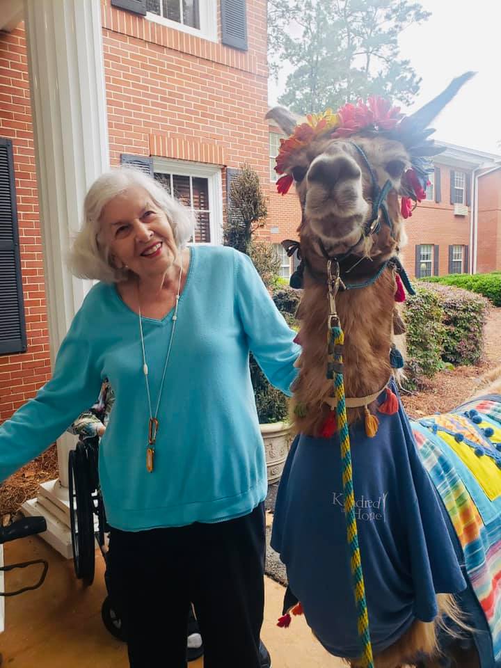 An elderly woman is standing next to a llama wearing a floral crown.