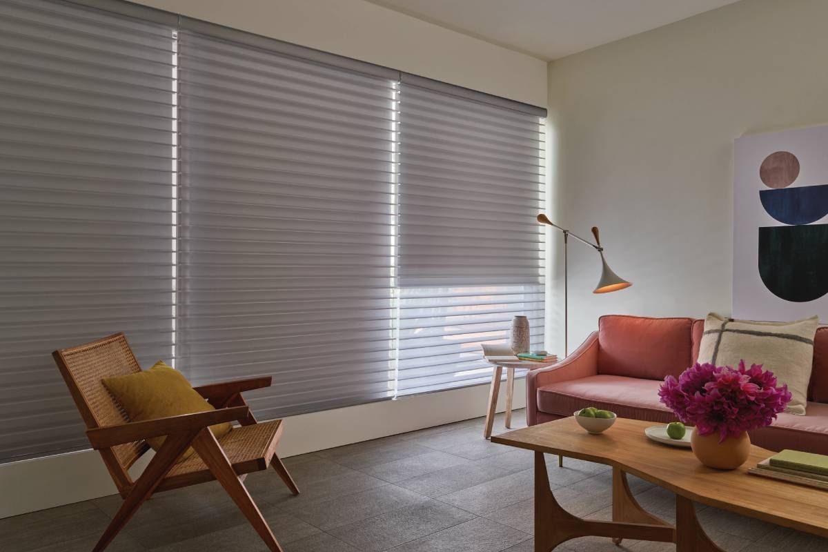 Hunter Douglas Silhouette® Sheer Shades with PowerView® Automation near Greenville, South Carolina (SC)