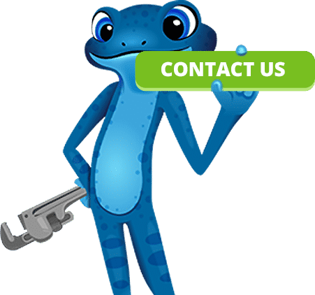 blue frog contact us