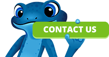 blue frog contact us