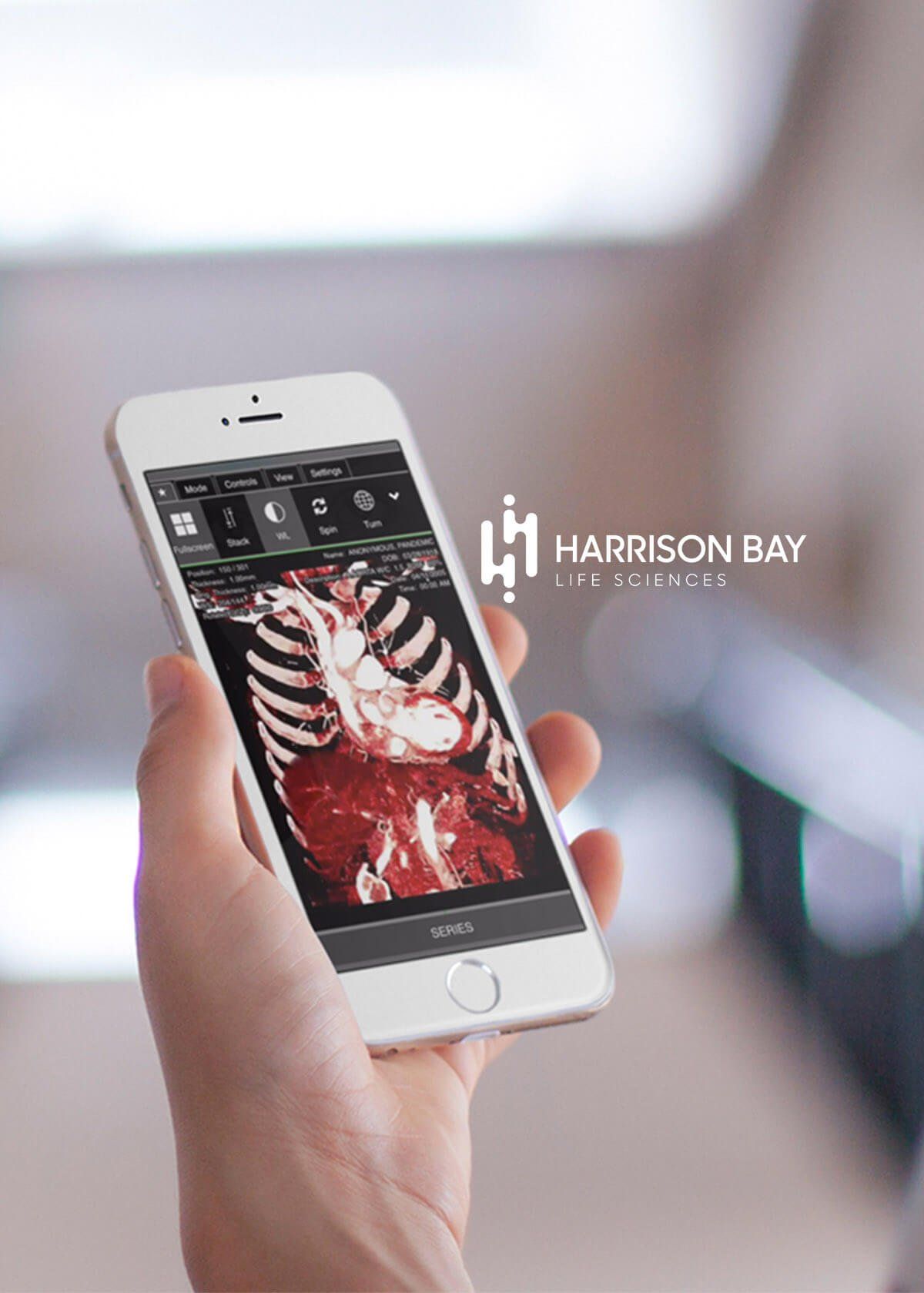 A person is holding a cell phone with a picture of a skeleton on the screen.