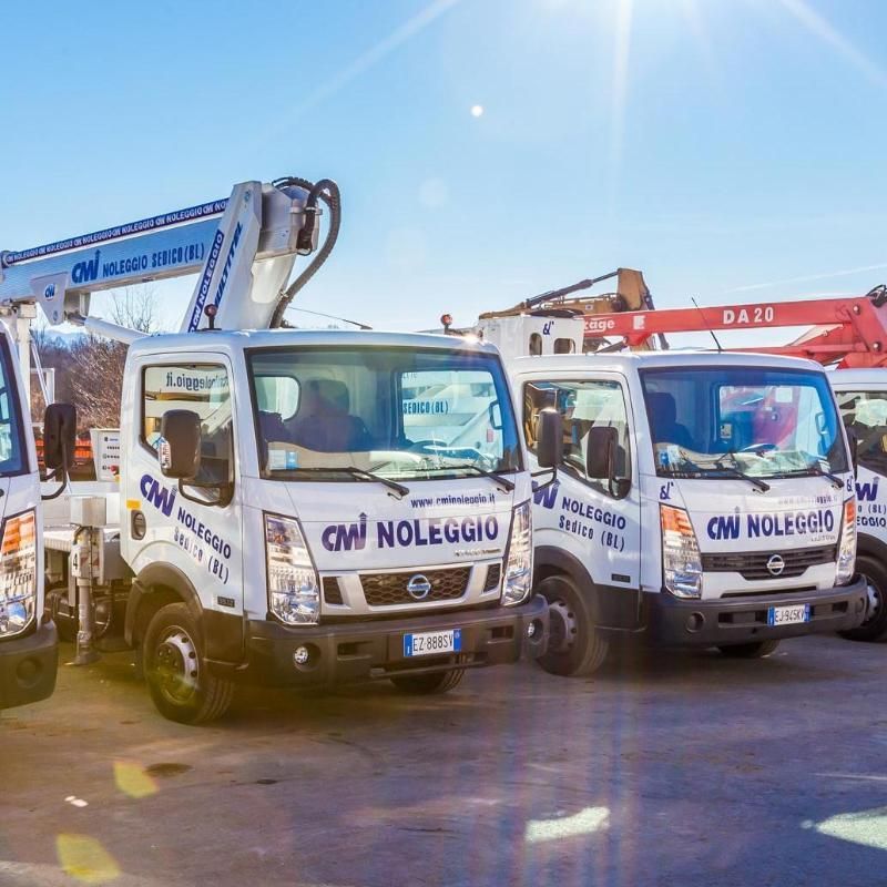 Una fila di camion gru bianchi parcheggiati sotto un cielo luminoso.