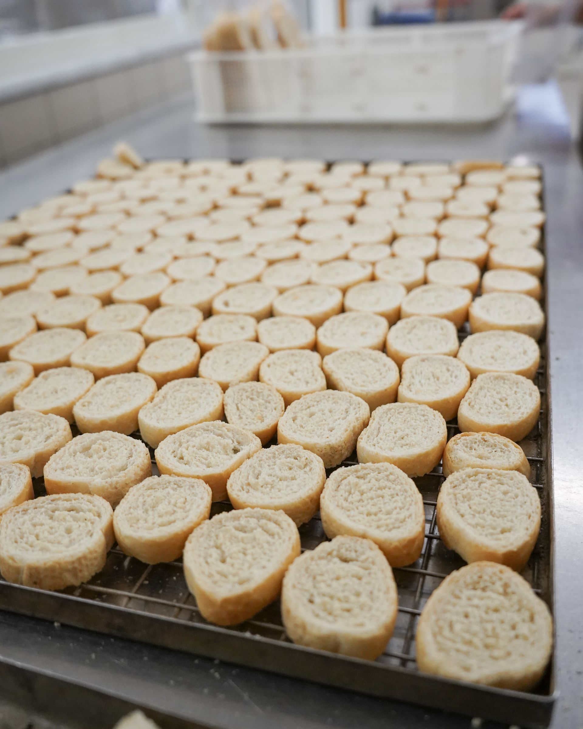Fette di pane tondo disposte su una griglia di metallo, probabilmente in fase di raffreddamento o essiccazione in un ambiente da panetteria.
