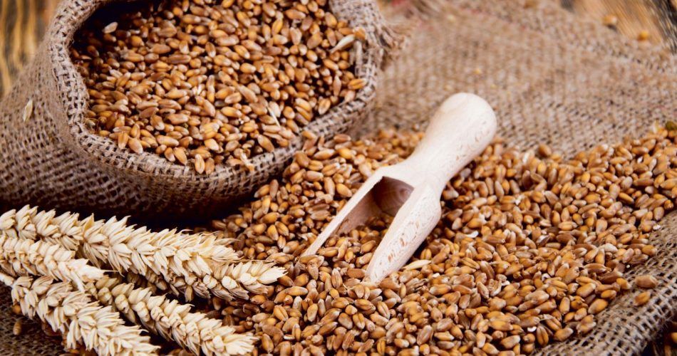 Vassoio di pasticcini, per lo più ricoperti di cioccolato, avvolti nella plastica, con un'etichetta con il prezzo. Ambiente industriale, potenziale panificio.