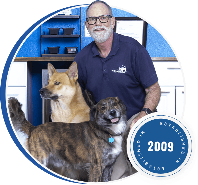 Pat with Dogs