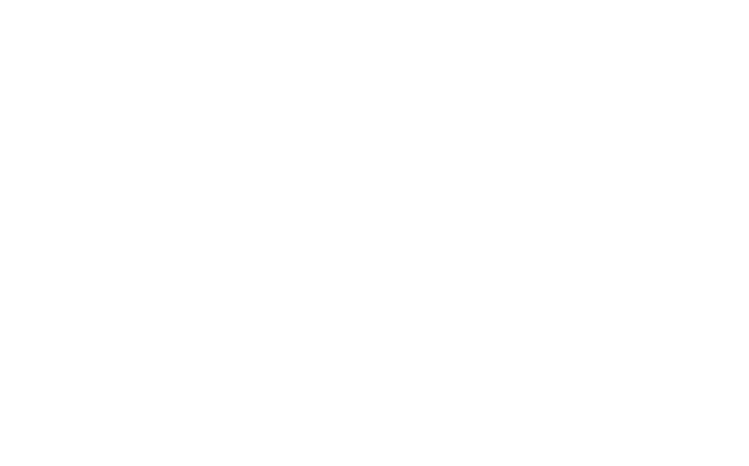 NAAEI