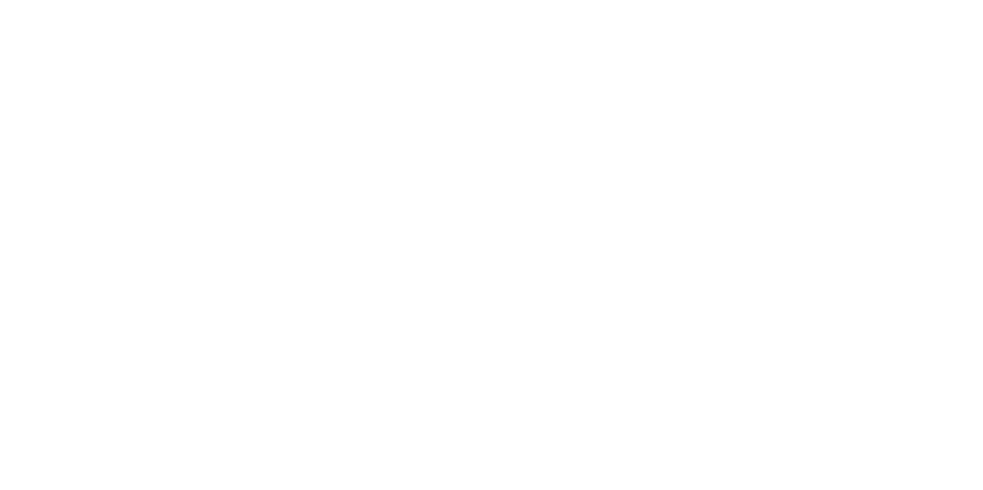 RPOA
