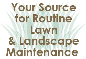 Quote - Landscape Contractor