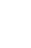 facet logo