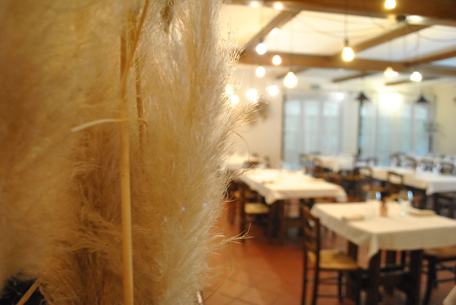 un ristorante con molti tavoli e sedie