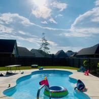 A backyard swimming pool with a colorful unicorn floatie and a shark floatie under a bright, sunny blue sky.