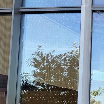 Window with white dots, reflecting trees and a blue sky. A building's frame surrounds the glass.
