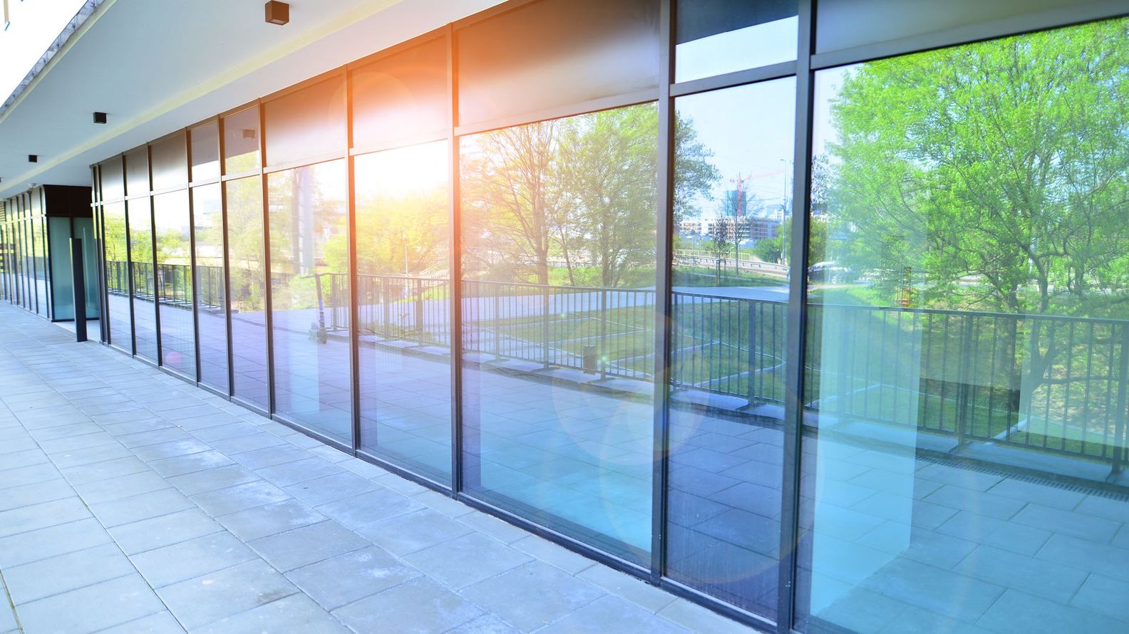 Long, glass-walled building reflecting trees and sky, bright sunlight.