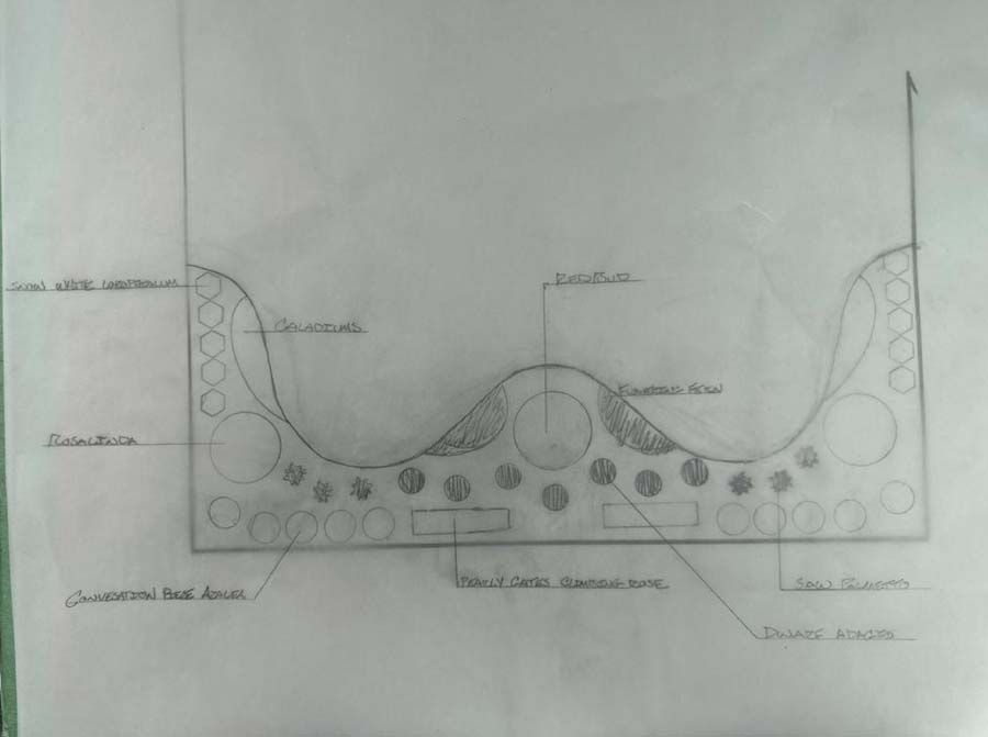 Sketch of a landscape design, showing a curvy layout with planting areas and a small seating area.