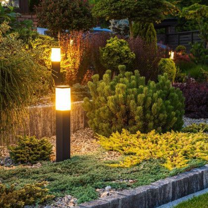 Garden with lit lamps and various green and yellow bushes at dusk.