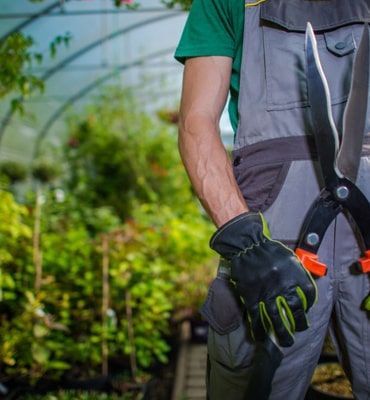 Gardener holding large shears, wearing work gloves and overalls, in a greenhouse with plants.