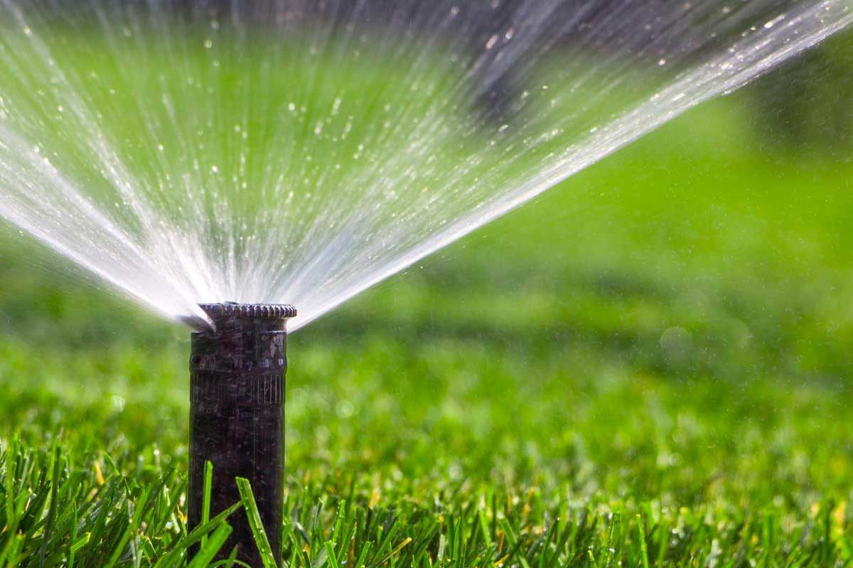 Sprinkler watering green lawn, spraying water upwards.