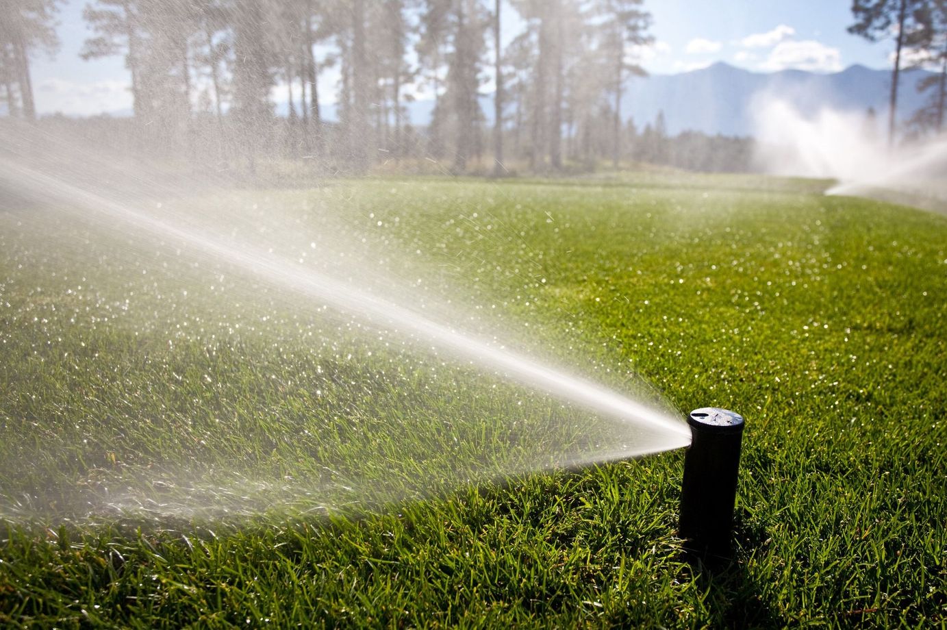Sprinkler watering a green lawn; trees and mountains in the background on a sunny day.