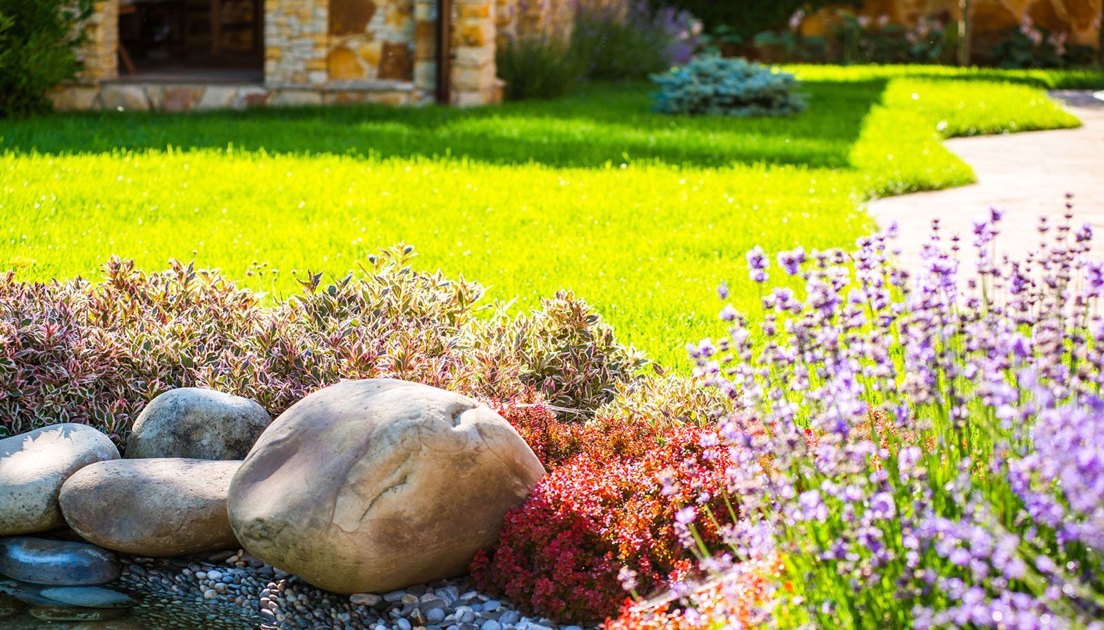 Lush green lawn borders a rock garden with lavender flowers and a stone house.
