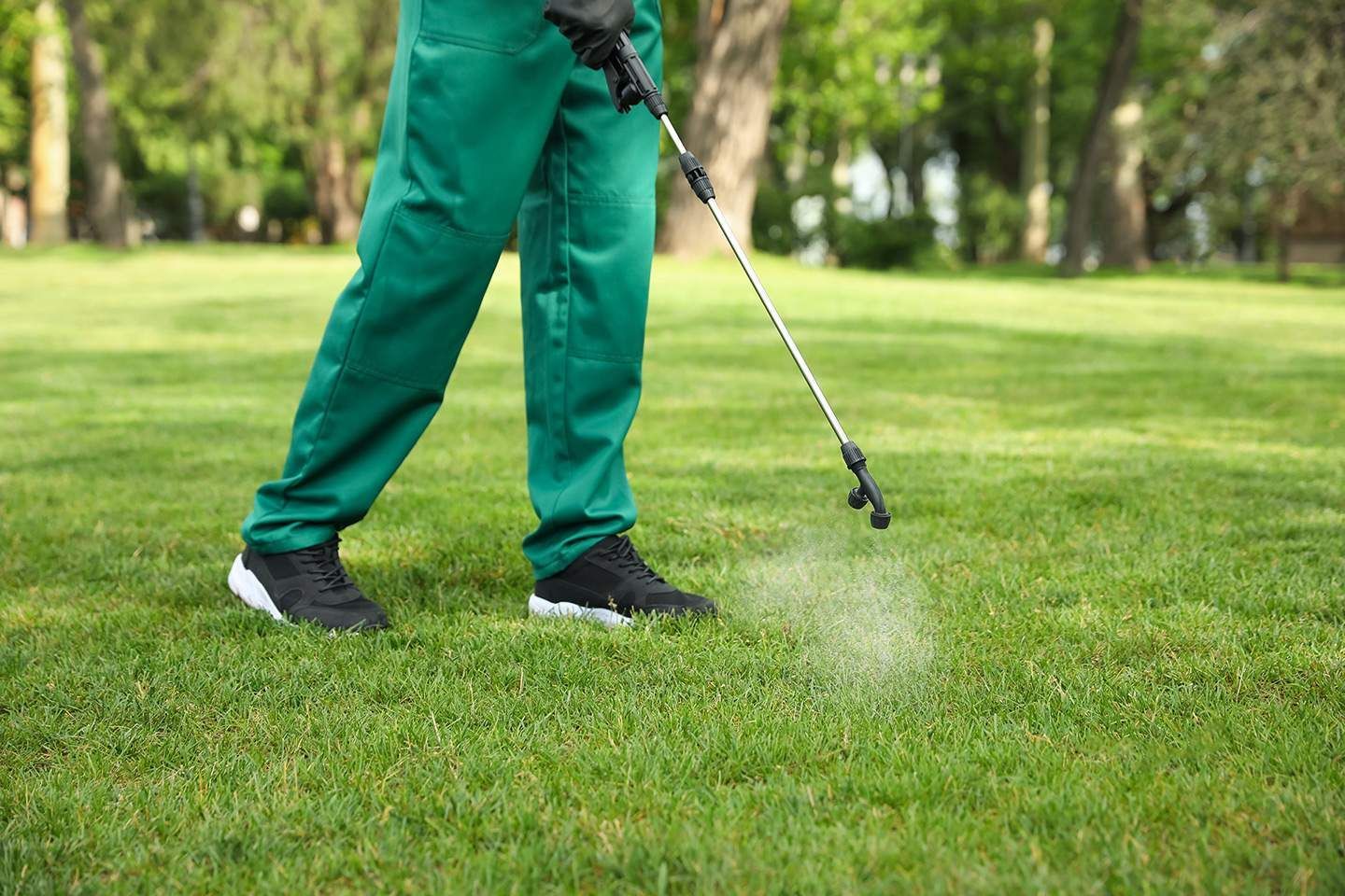 Person spraying lawn with pesticide in a park, wearing green work pants and black shoes.