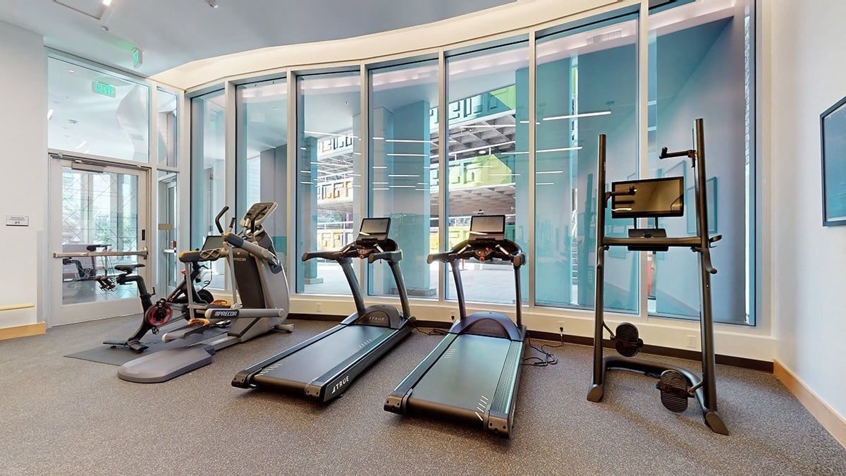 Gym with treadmills, elliptical, and exercise equipment by large windows.