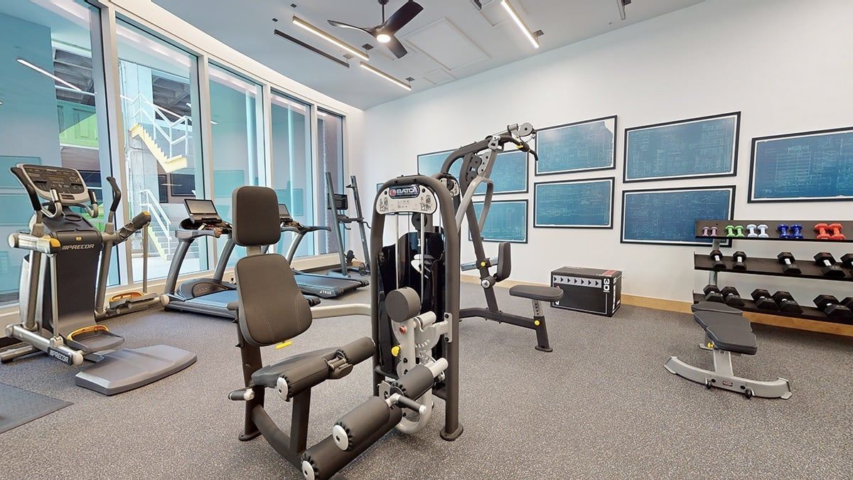 Gym interior with various exercise machines, dumbbells, and a bench. Features a gray floor and a blue accent wall.