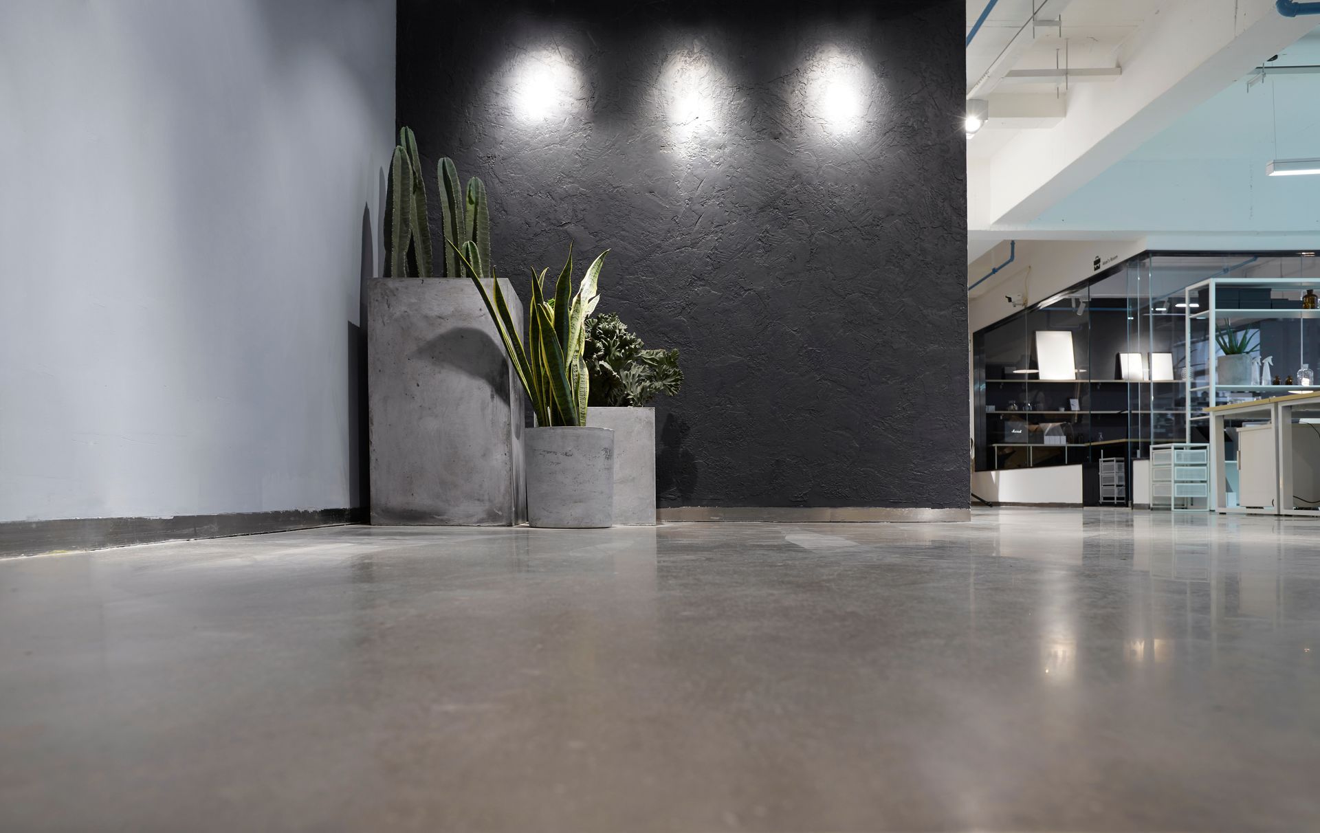 Modern office interior with concrete floor, plants in concrete planters, and black textured wall with spotlights.